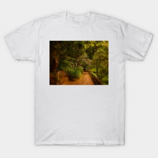 the path to your heart.... T-Shirt